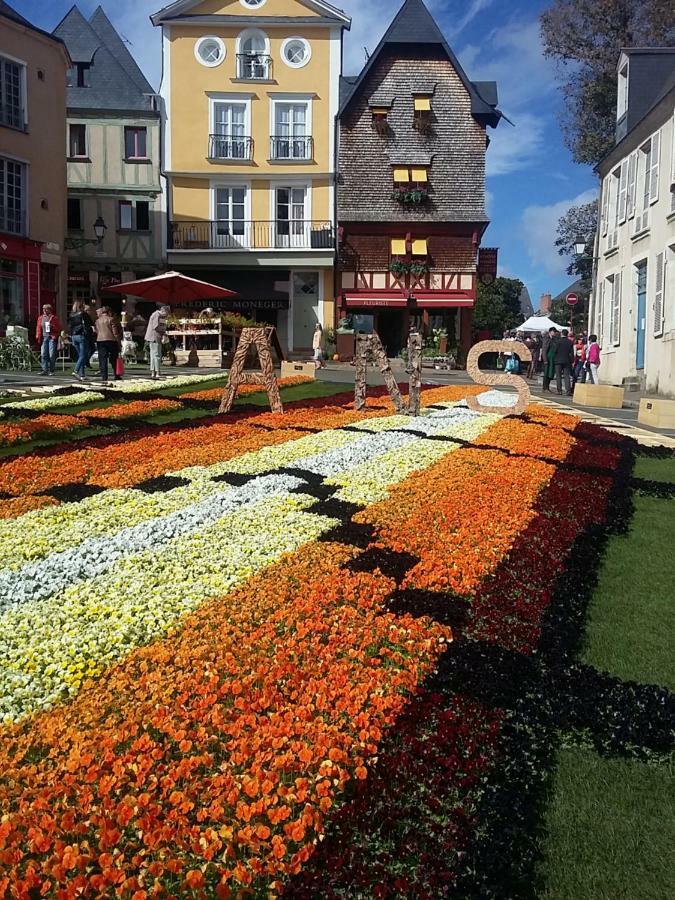 Logis Louisblanc, Muraille Romaine, Lit Queen-Size, Centre Ville ルマン エクステリア 写真